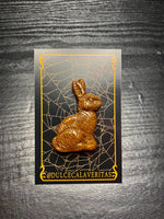 Resin Chocolate bunny pin